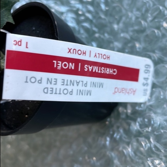 Ashland Mini Holly Berries Potted Plant Artificial - Picture 6 of 10